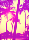 Summer avatar holiday 50